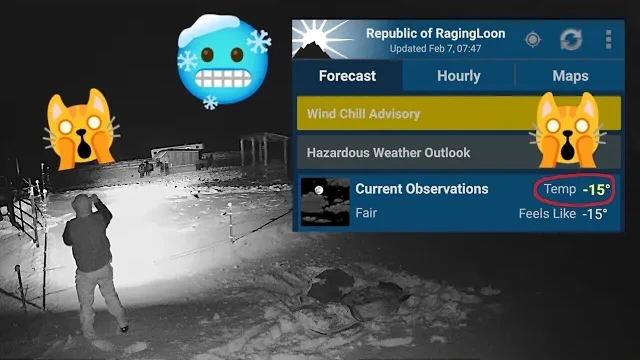 Sleeping Outside with Horses -15°F 🐴😲🥶