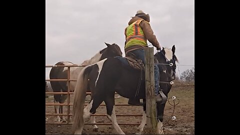 Rain - progress - working the gate 21 Dec 2023
