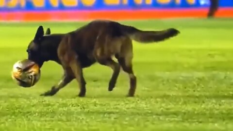 *TRY NOT TO LAUGH* Funny Football Moments