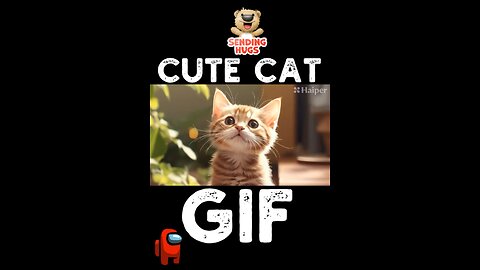 Cute Cat Gif