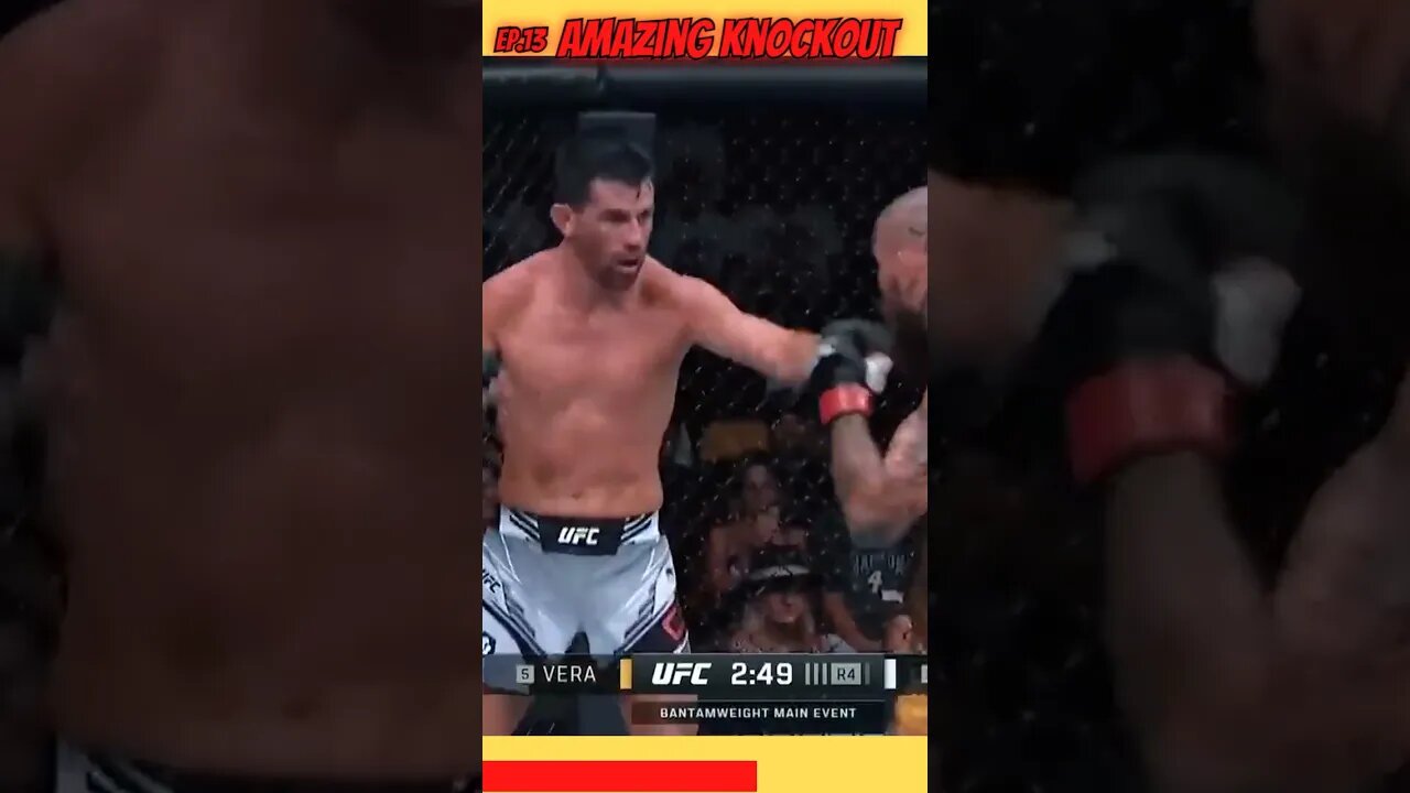 KnockOut Madness Unleashed: Experience the Thrill of Spectacular Knockouts