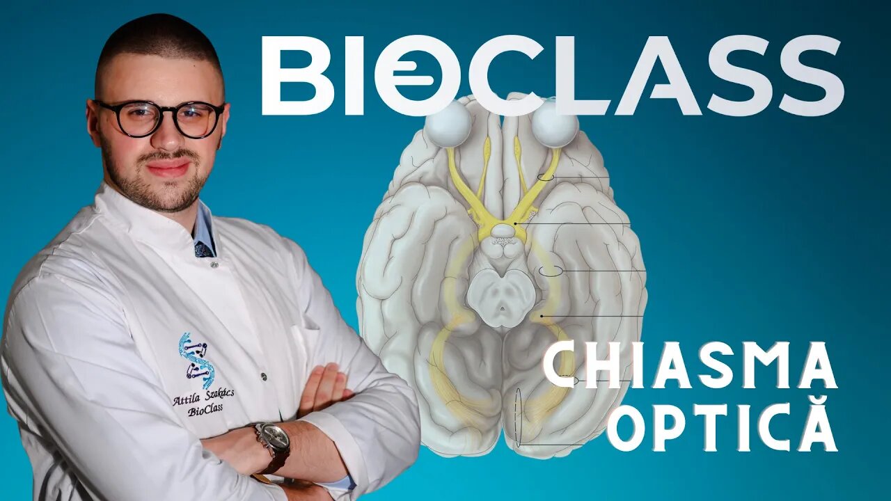 Chiasma Optică