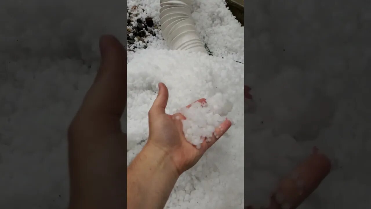 MASSIVE HAIL DUMP AFTER WEEKS OF CHEMYRAILING IN YYC ALBERTA CANADA #CTV #TRUDEAU #TRUDUMB