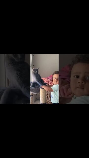 Surprised, discouraged