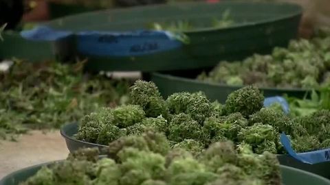 Henderson gives permission for recreational marijuana sale