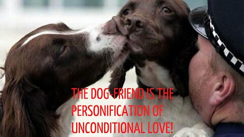 THE DOG-FRIEND IS THE PERSONIFICATION OF UNCONDITIONAL LOVE!