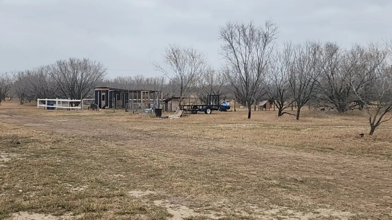 Working On Fencing For Goats