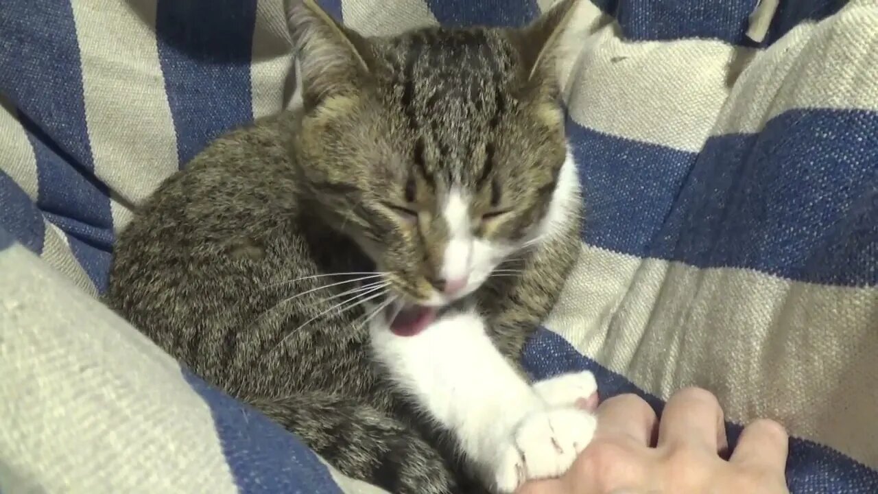 What Was That Noise, Mom?!