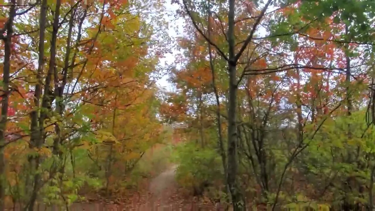 Trail Hunters. Epic Fall Colors, Ontario