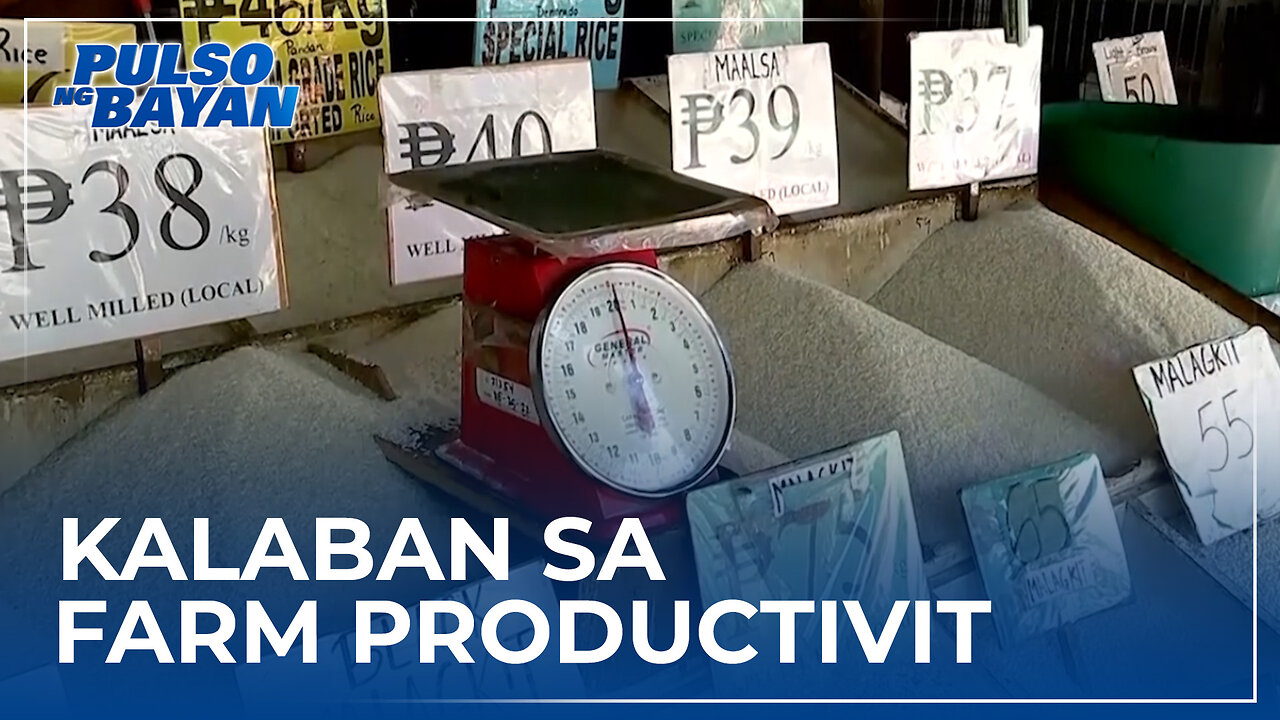 Price control sa bigas, numero unong kalaban sa farm productivity—Agri Group