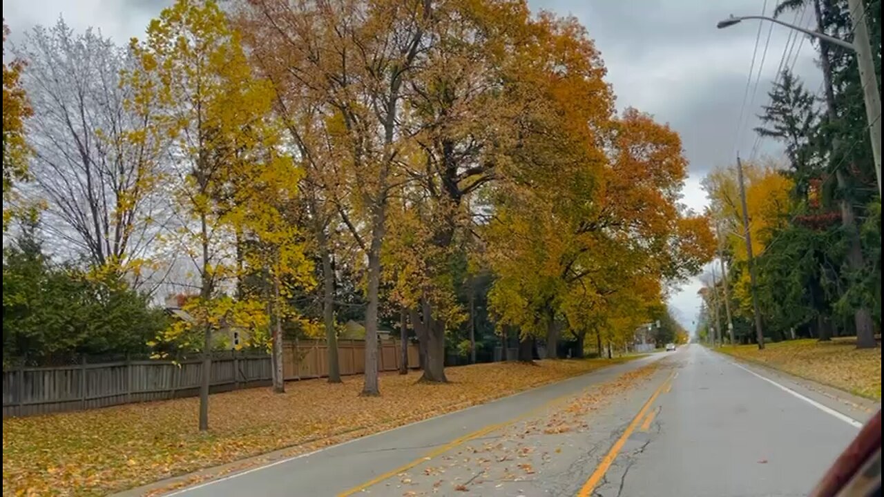 Driving through Oakville Ontario Canada a wonderful fall colour experience🍁🍁🍁