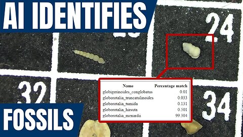 Using Artificial Intelligence (AI) to identify fossils and fossil turtle update [New Zealand forams]