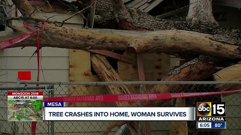 Family speaks out after tree crashes into Mesa home