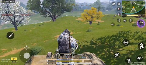 call of duty mobile