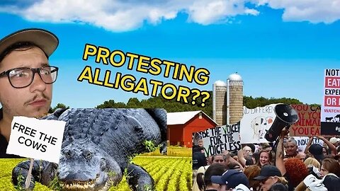 Animal rights Alligator eats Cattle in protest??