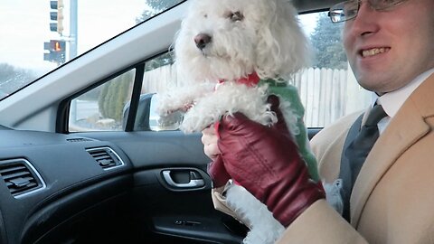 QUINCY DANCES TO CHRISTMAS MUSIC!