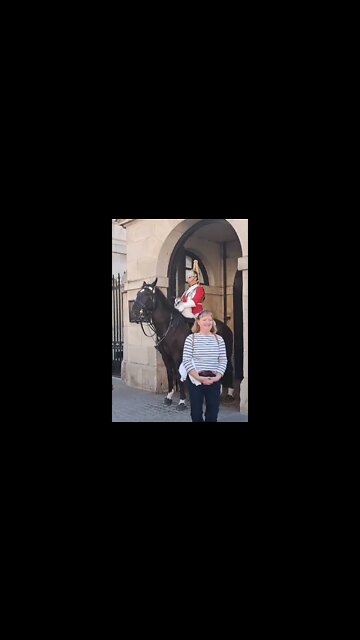 horse hits tourist on the head 😆 🤣 😂 😆 🤣 😂