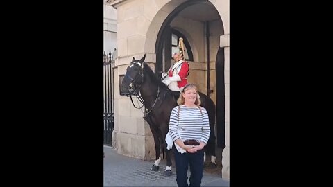 horse hits tourist on the head 😆 🤣 😂 😆 🤣 😂