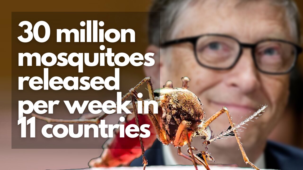 30 million mosquitoes released per week in 11 countries