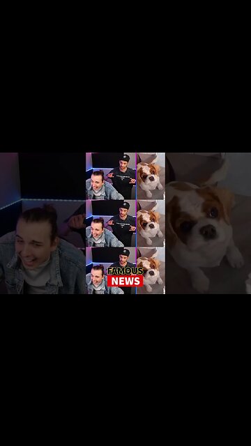 MrBeast Video Featuring Chris & Chandler Takes An Unexpected Turn #Shorts