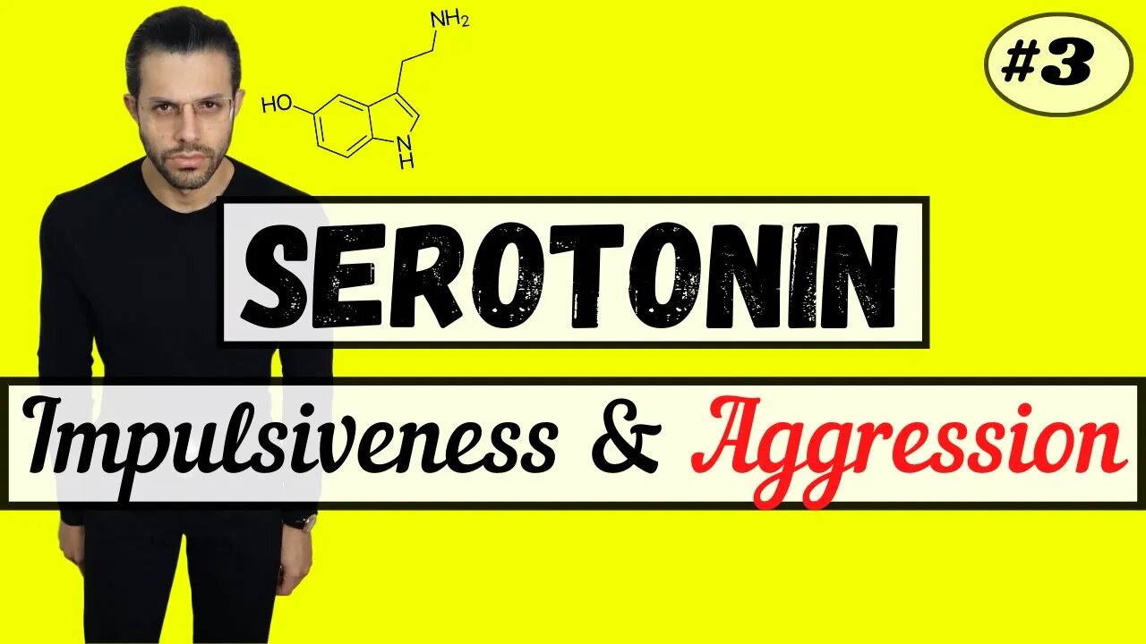 How Serotonin Reduces Impulsiveness and Aggression (The Serotonergic Series #3)