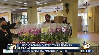 1.500 orchids gifted to residents