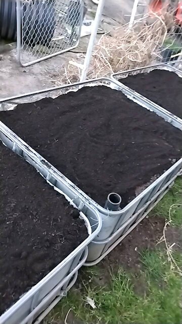 4 self wicking raised beds ready