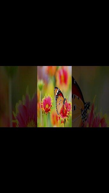 music - Magical Gravity Asher Fulero #music #shorts #short #shortvideo #shortsvideo