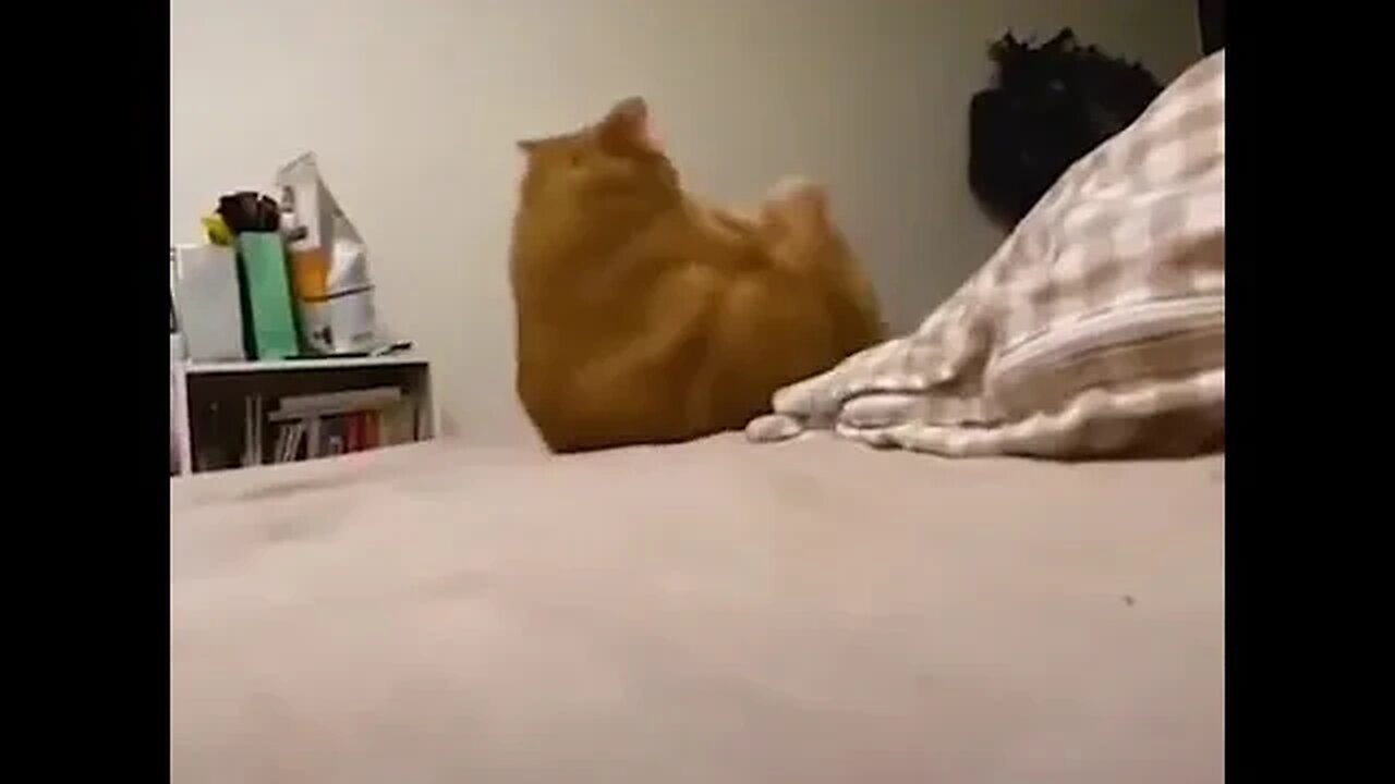 Losing Control