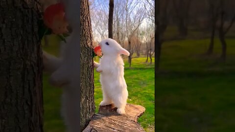 rabbit eating yummy food #tranding #shortvideo #trendingshorts #rabbit #eating