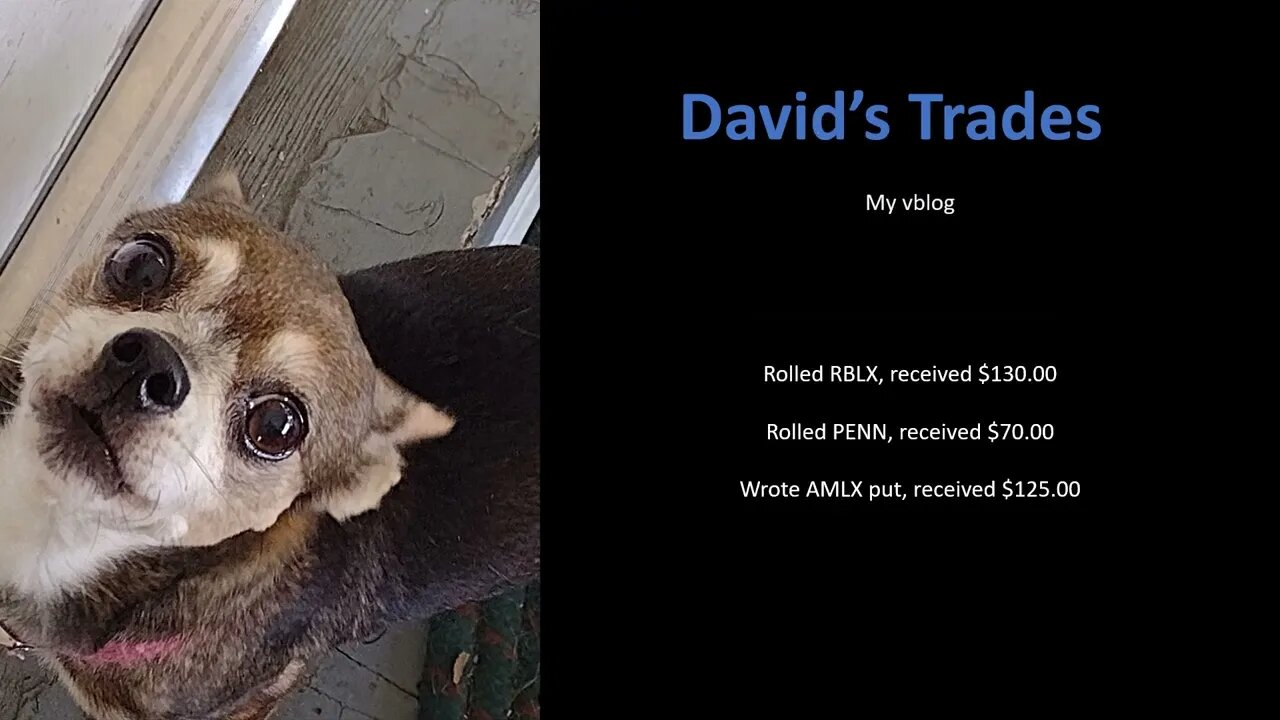 Income today = $325.00. Rolled RBLX, PENN, wrote put on AMLX
