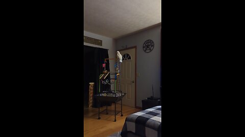 Sunny Boy Making Sure That I Am Watching 😁