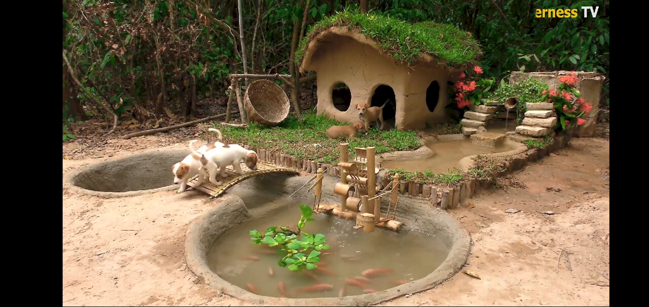 Rescue Abanboned puppies building mud house dog and fish pond for red fish