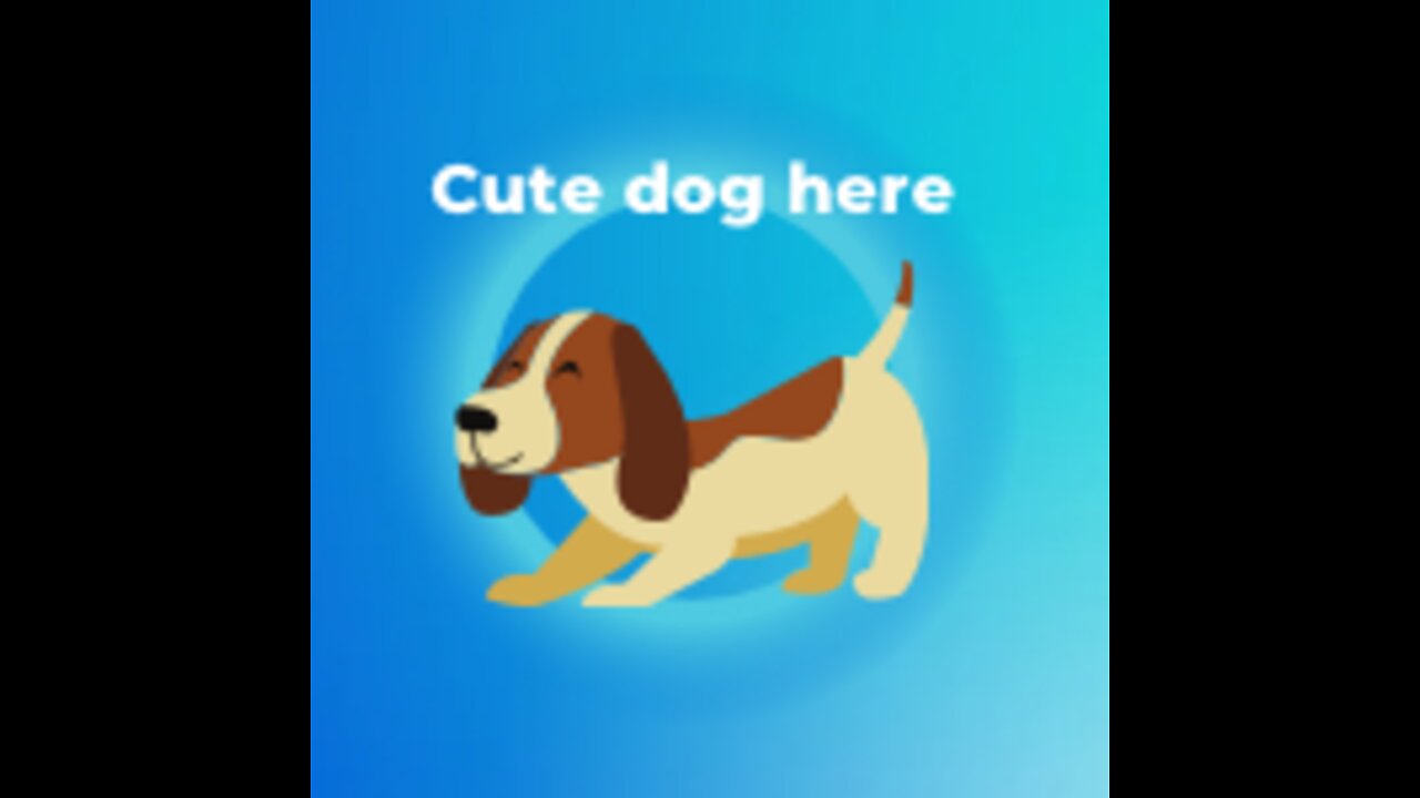 Dog style with sunglasses