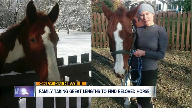 Summit County family using drones, psychics to search for missing horse