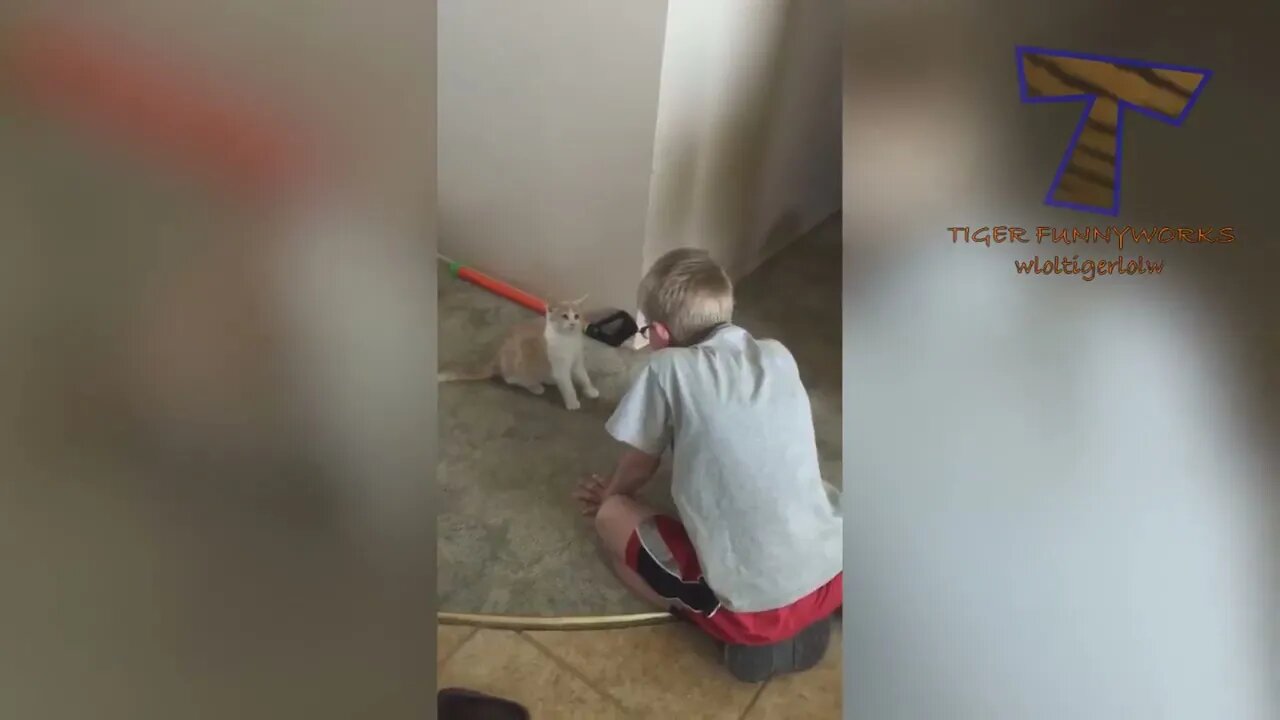 CATS will make you LAUGH YOUR HEAD OFF 2023 Funny CAT compilation