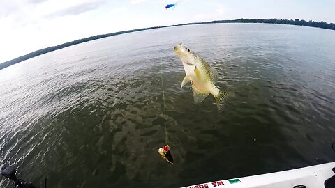 Simple Crappie Rig will FILL the livewell FAST! (30 day challenge ep. 6)