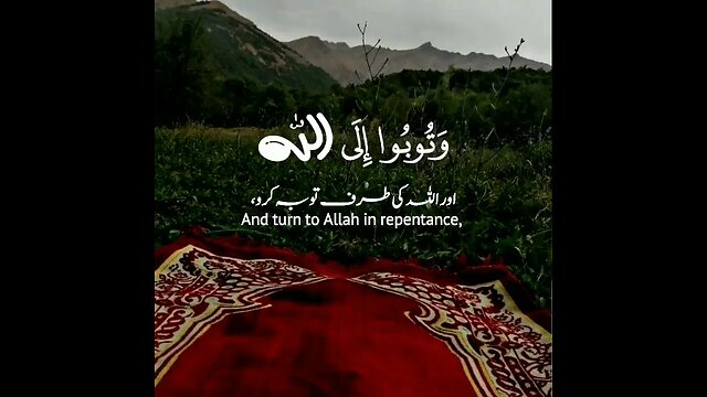 Surah Al-Noor |Verse No 31| Beautiful Reaction