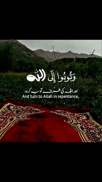 Surah Al-Noor |Verse No 31| Beautiful Reaction