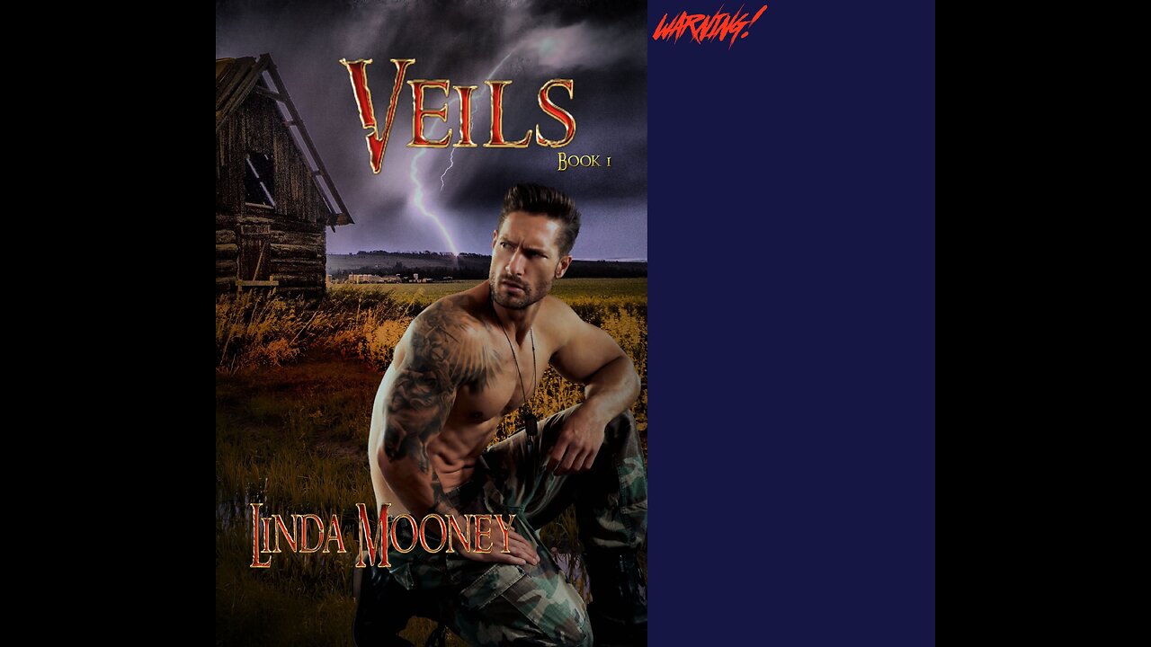 VEILS, Book 1, a Sci-Fi /Time Travel Romance