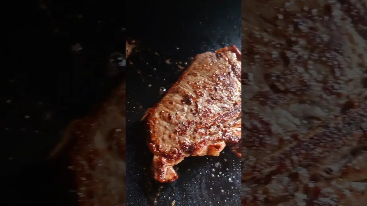 Terrific T-Bone 🥩