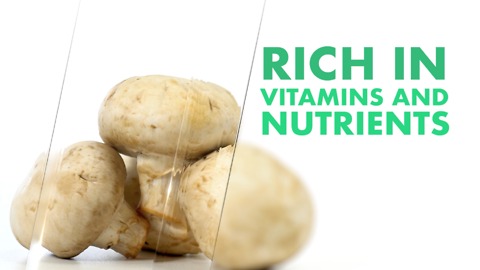 THE MUSHROOM ADVANTAGE