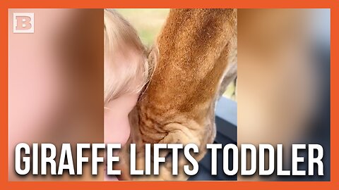 "Ack!" Giraffe Picks Up Toddler in Texas Drive-Thru Safari