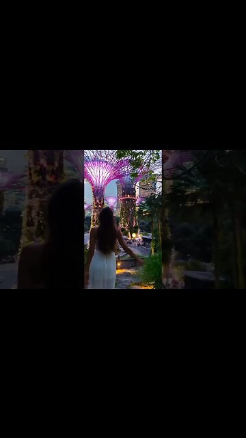 Evening Singapore 🇸🇬