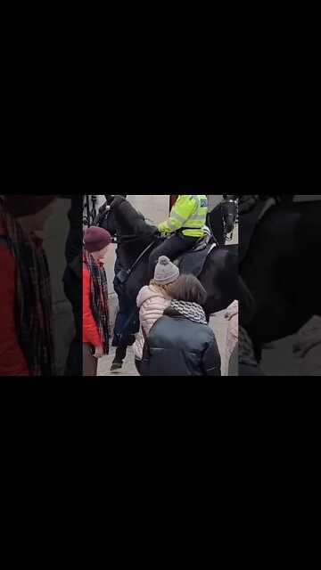 Police woman on horse back almost walking over tourist #horseguardsparade