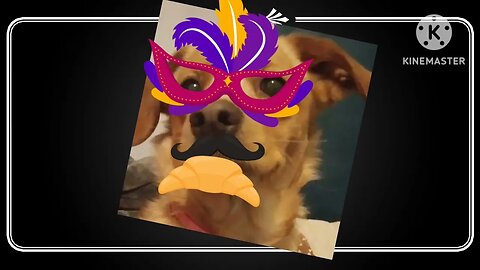 Random something really no clue?