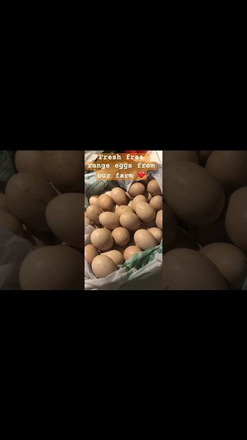 Fresh free range eggs from our farm ❤️