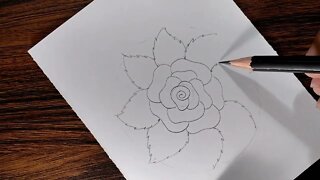 How to draw a Rose step by step