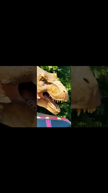 YOUR NEXT VACATION DESTINATION 😎🌎 #shorts