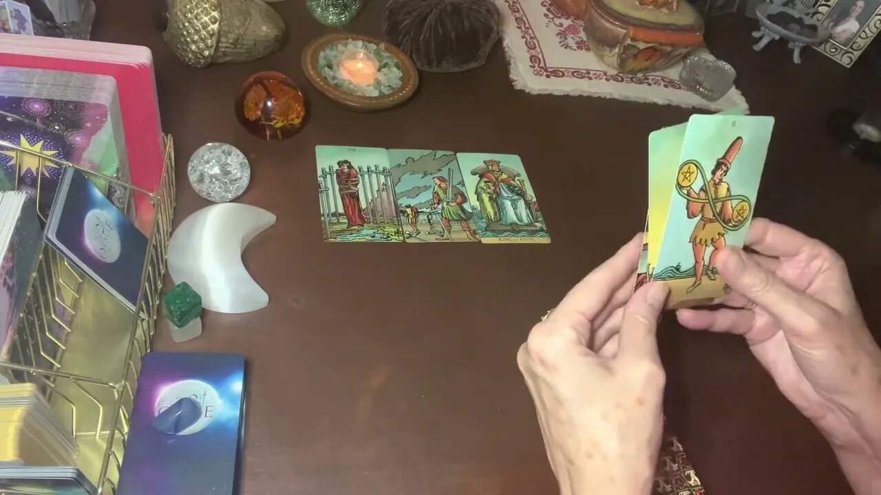 Spirit Speaks ~ MESSAGES FROM YOUR PETS IN SPIRIT #3 ~ spirit guided timeless tarot